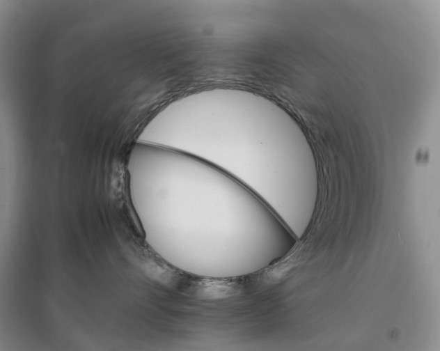 X0000096700528200802261608