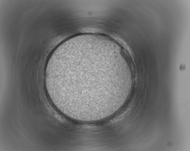 X0000096700529200802261607
