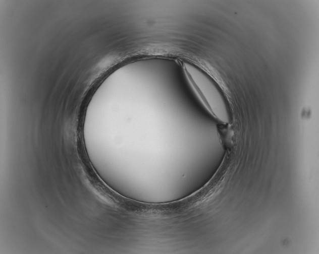 X0000096700530200802261607