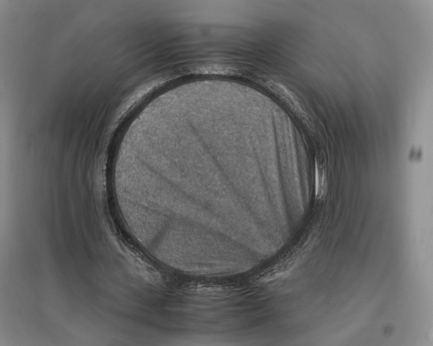 X0000096700531200802261607