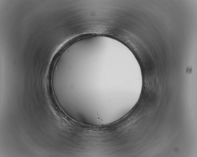 X0000096700532200802261607