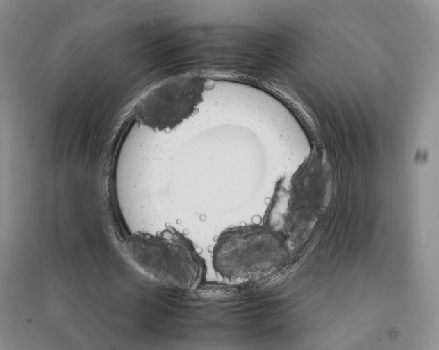 X0000096700533200802261607
