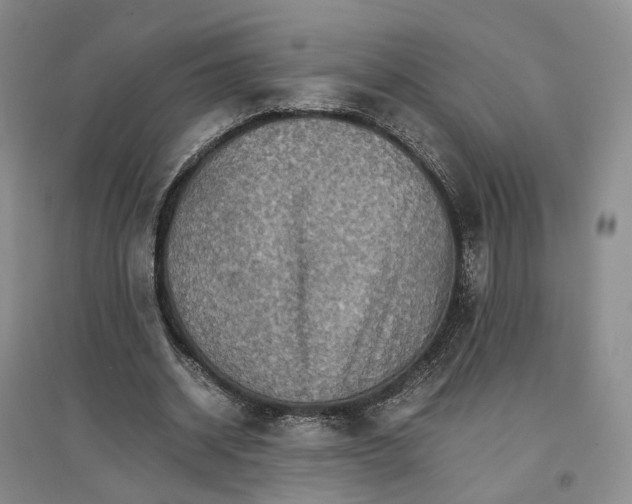 X0000096700534200802261607
