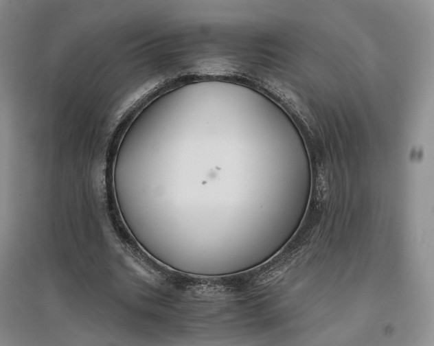 X0000096700535200802261607