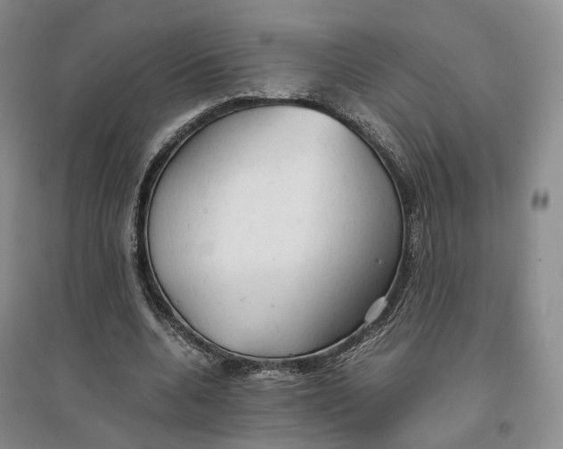 X0000096700536200802261607