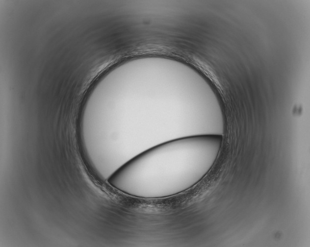 X0000096700538200802261607