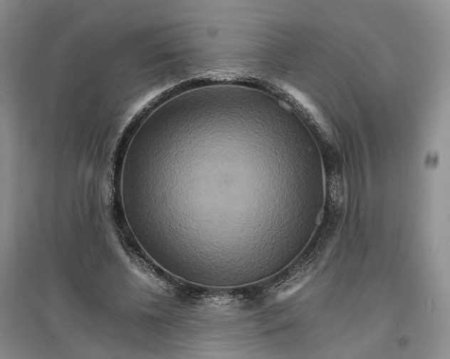 X0000096700540200802261607