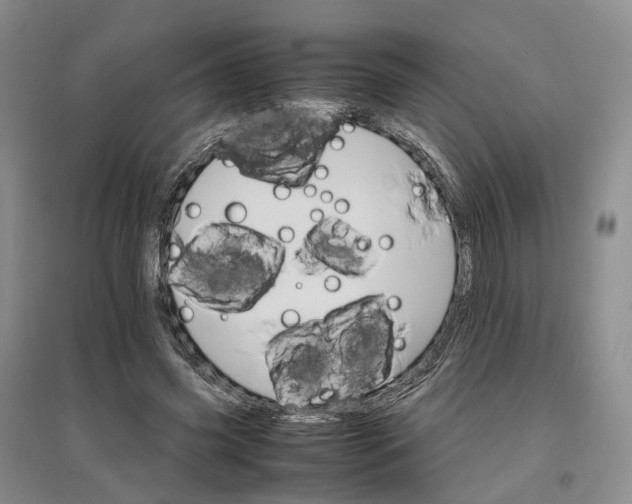X0000096700541200802261607
