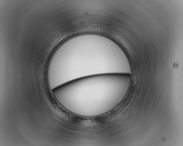 X0000096700544200802261607