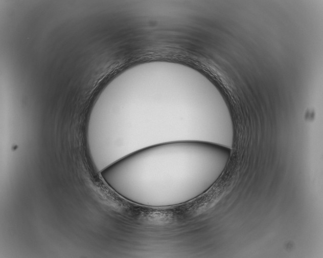 X0000096700546200802261607