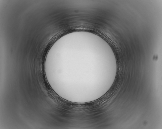 X0000096700547200802261607