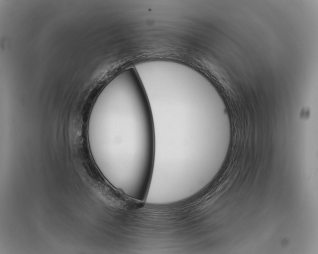 X0000096700548200802261607