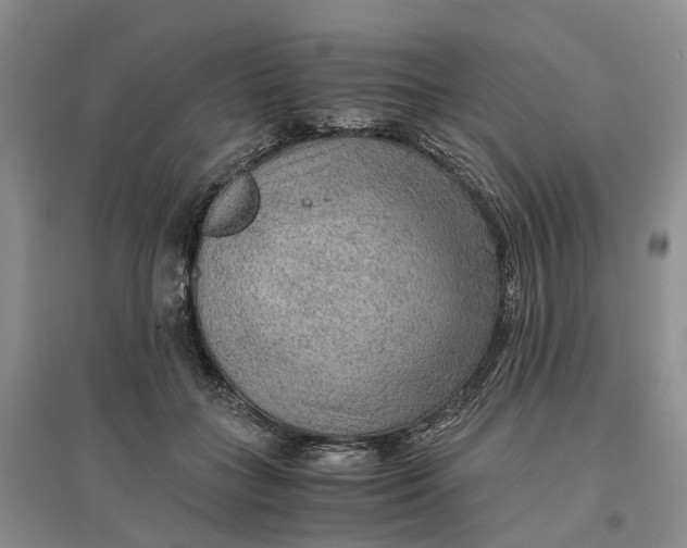 X0000096700555200802261607