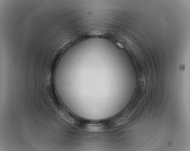 X0000096700556200802261608