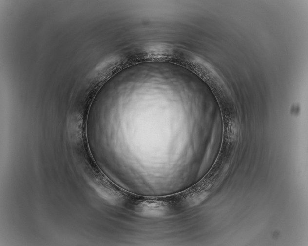 X0000096700557200802261608