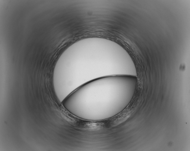 X0000096700558200802261608