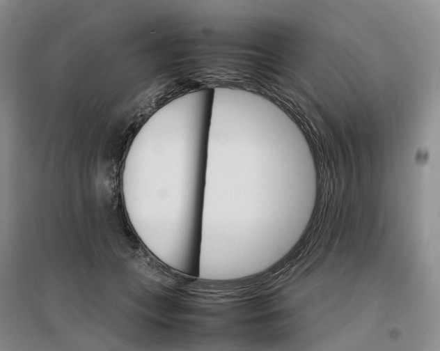 X0000096700559200802261608