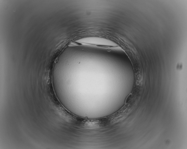 X0000096700560200802261608