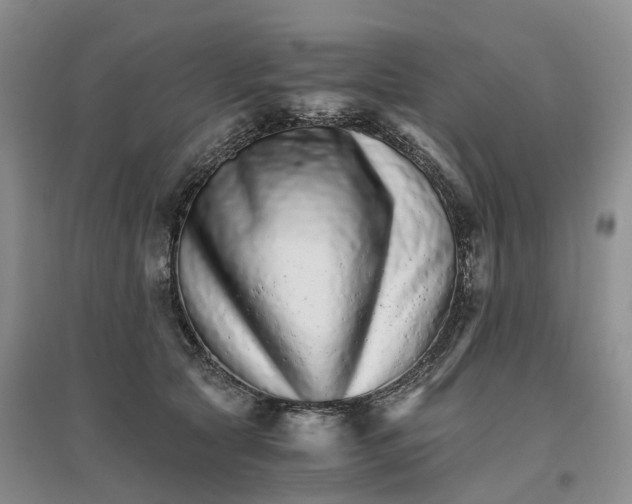 X0000096700561200802261608