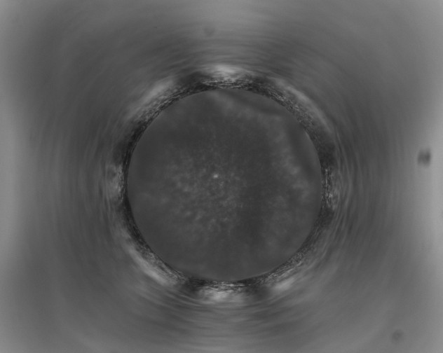 X0000096700563200802261608