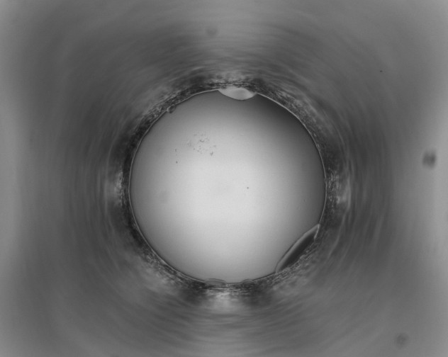X0000096700564200802261608