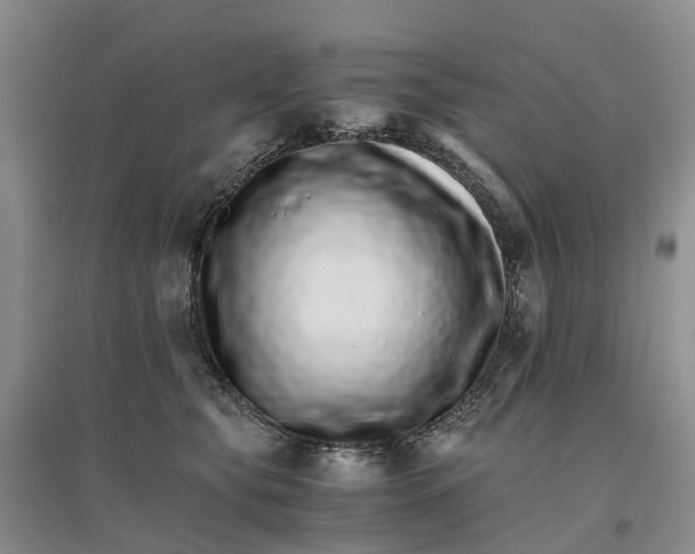 X0000096700565200802261608