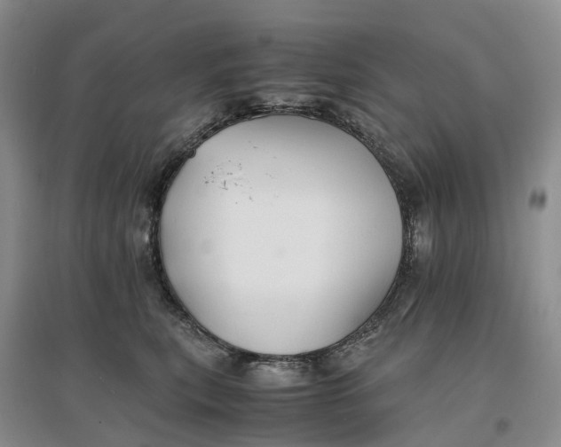 X0000096700567200802261608
