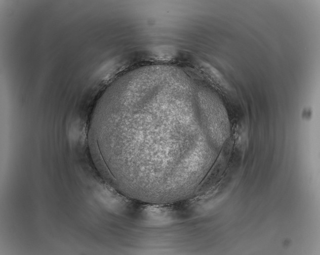 X0000096700568200802261608