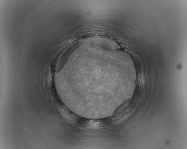 X0000096700570200802261608