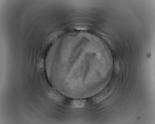 X0000096700571200802261608