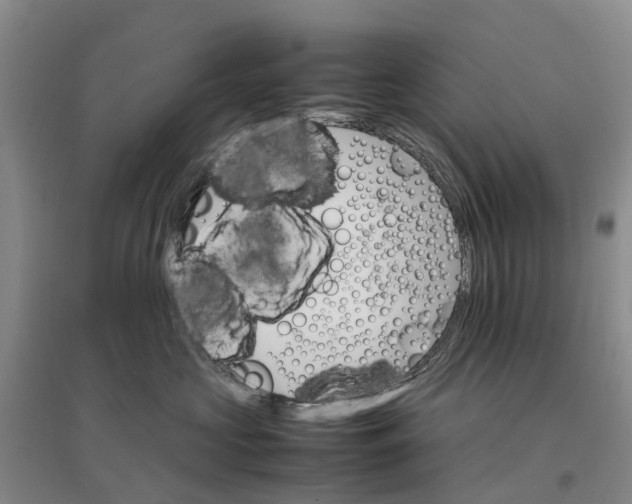 X0000096700573200802261608