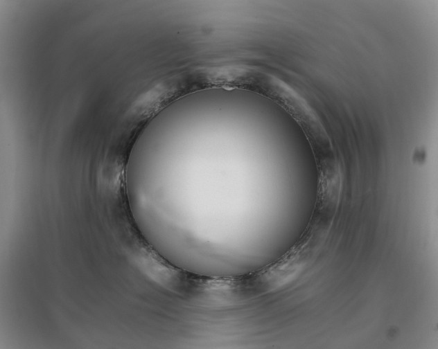 X0000096700574200802261608
