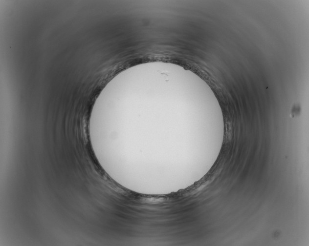 X0000096700575200802261608