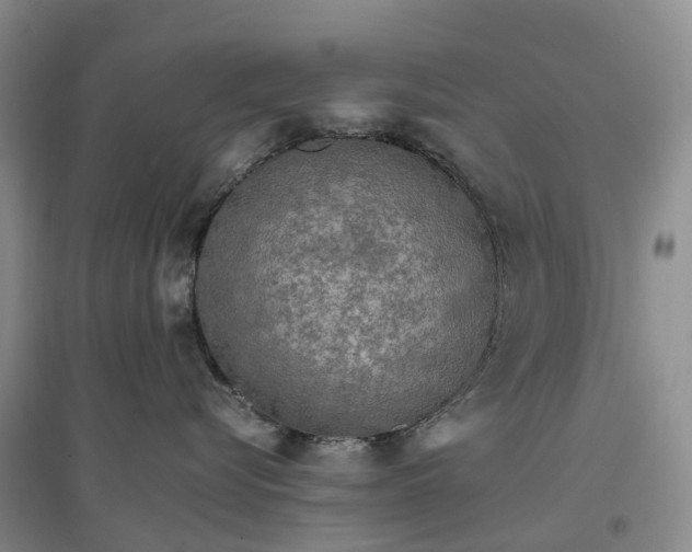 X0000096700576200802261608