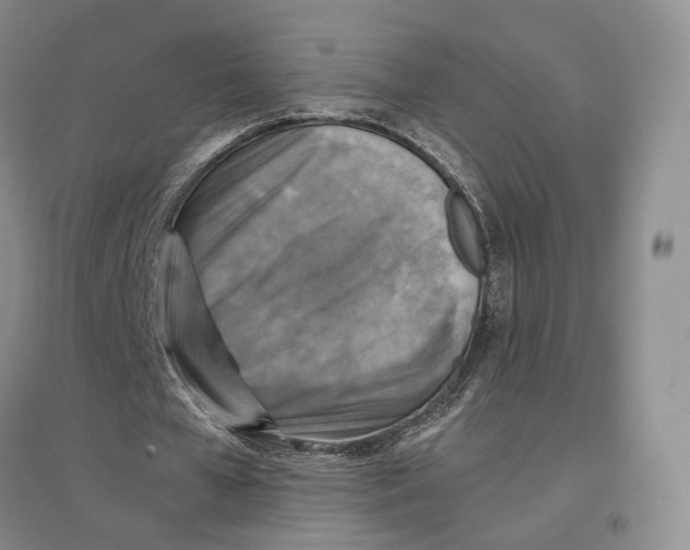 X0000096700577200802261607