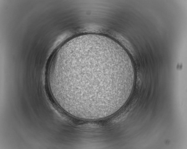 X0000096700578200802261607