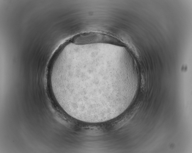 X0000096700580200802261607