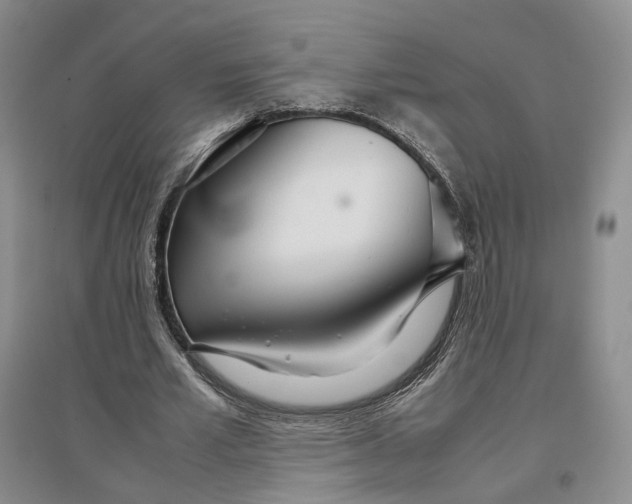X0000096700581200802261607