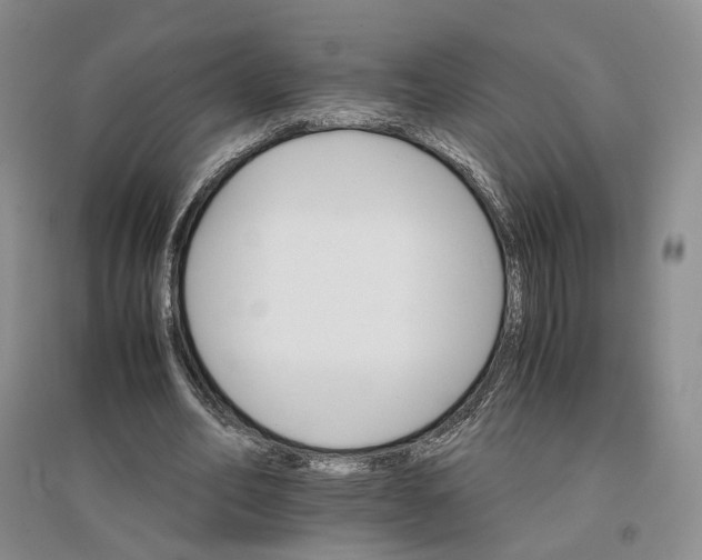 X0000096700582200802261607