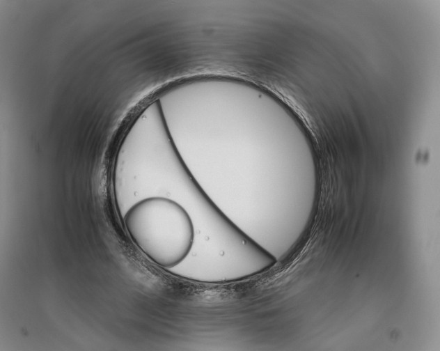 X0000096700584200802261607