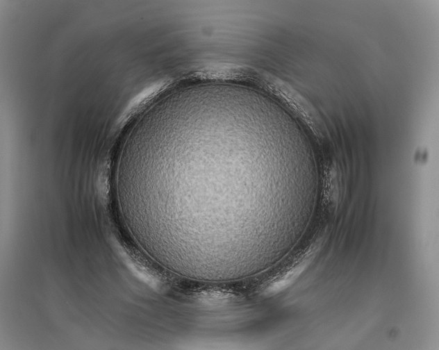 X0000096700586200802261607