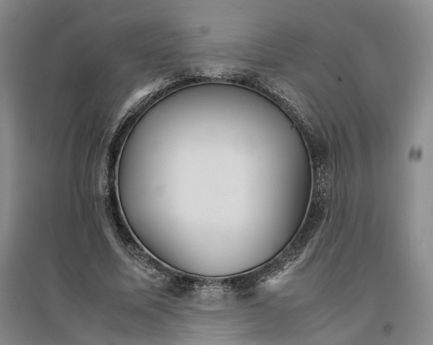 X0000096700587200802261607