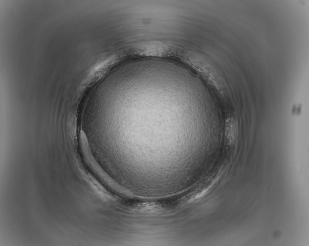 X0000096700589200802261607