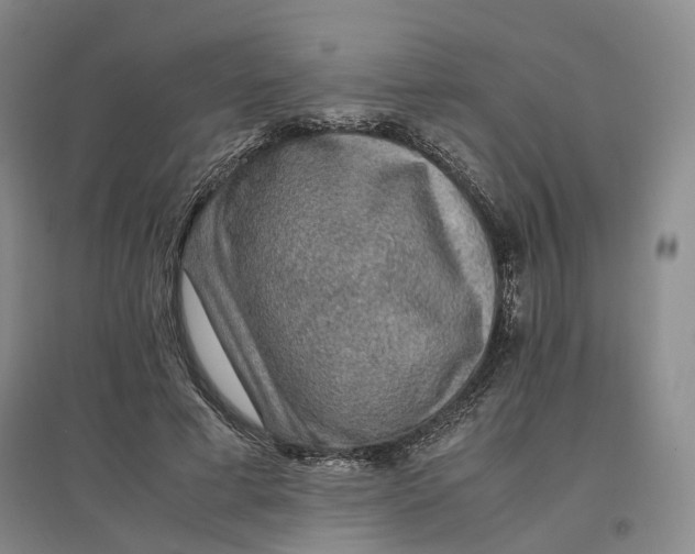 X0000096700593200802261607