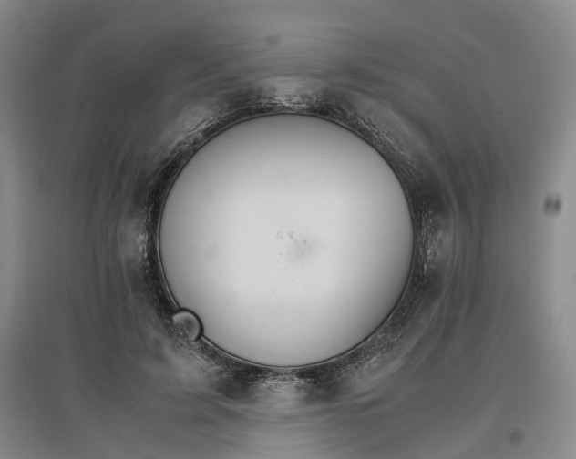 X0000096700595200802261607