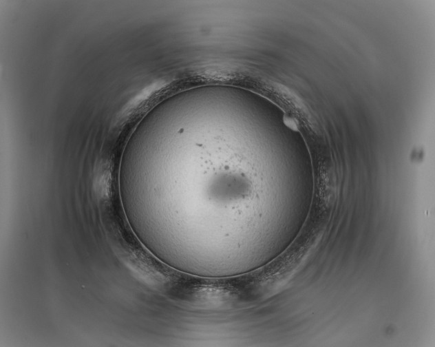 X0000096700596200802261607