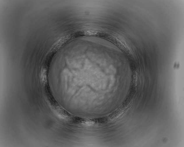 X0000096700598200802261607