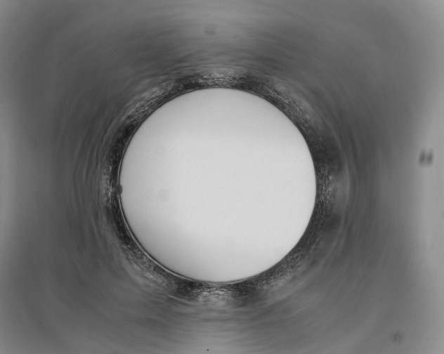 X0000096700599200802261607