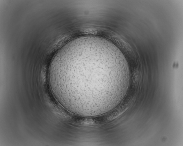 X0000096700600200802261607