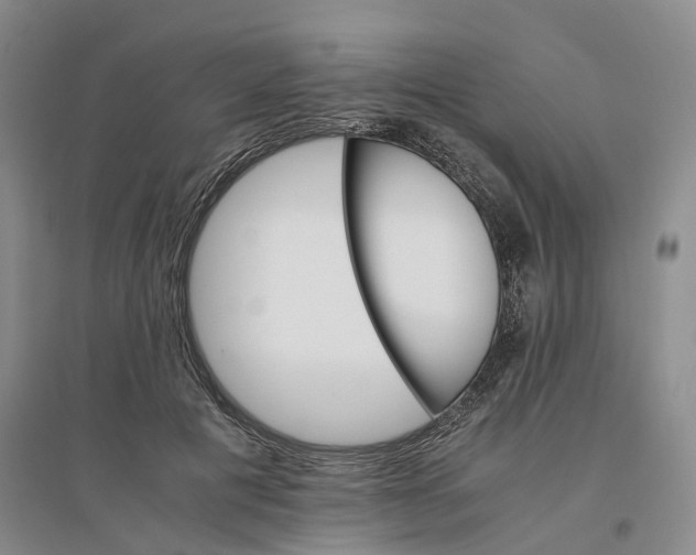 X0000096700601200802261607